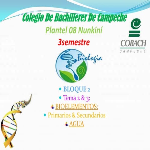 BIOELEMENTOS Y EL AGUA