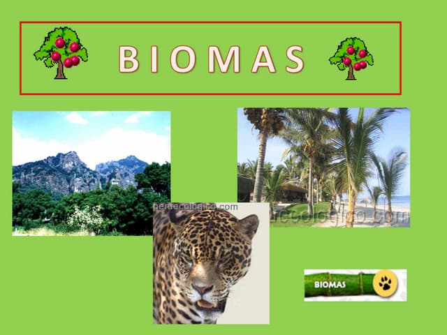 Biomas