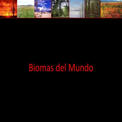 Biomas del mundo y colombia