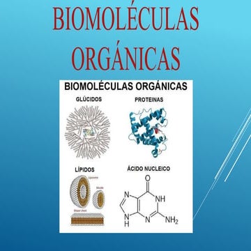 biomoleculas organicas  ppt.pptx
