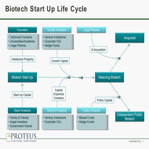 Biotech startup life cycle (proteus 2008)