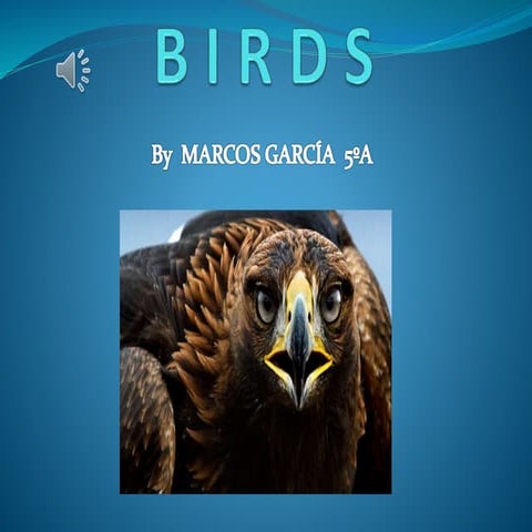 Birds presentación powerpoints (1)   copia