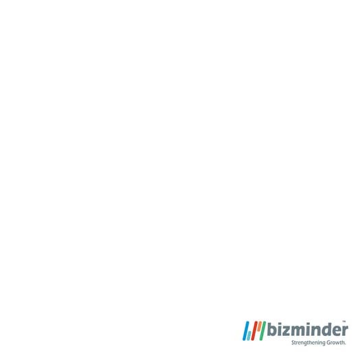 Bizminder Corporate Profile 2013