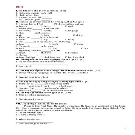 Bộ đề ôn thi hkii tiếng anh lớp 6 (phần 2)