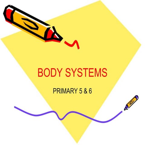 Body systems