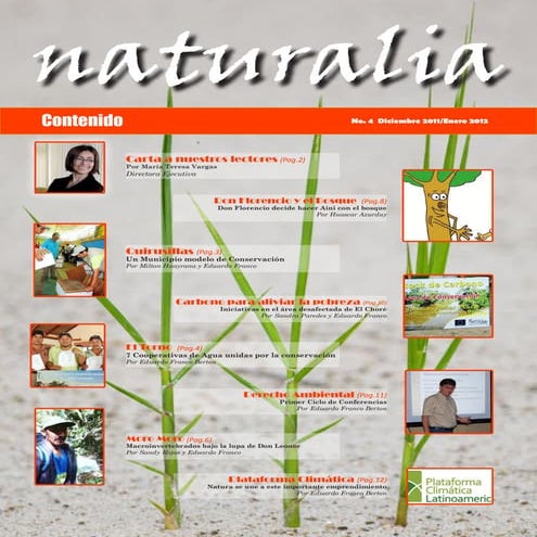 Boletín Naturalia IV