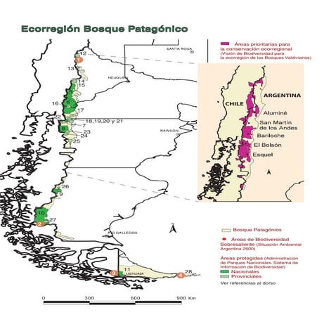 Bosque PatagóNico