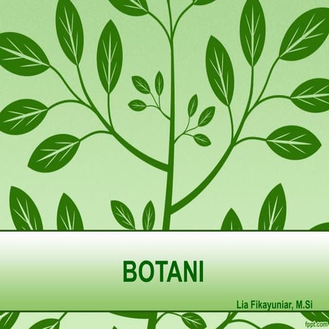 Botani pertemuan ke 3 kirim revisi