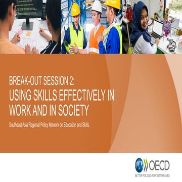 Using Skills Effectively in Work and in Society