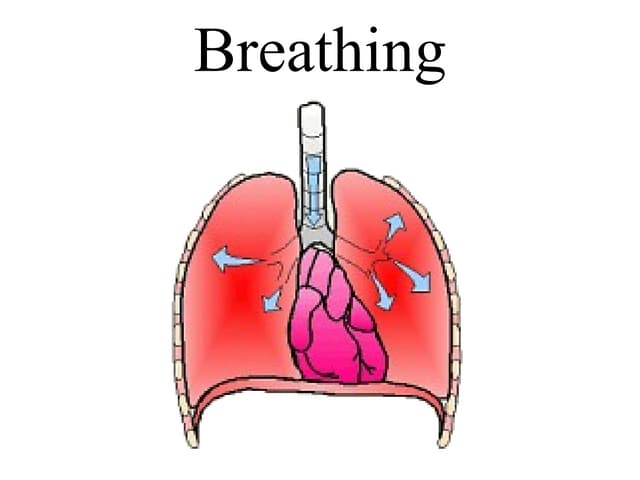 Breathing