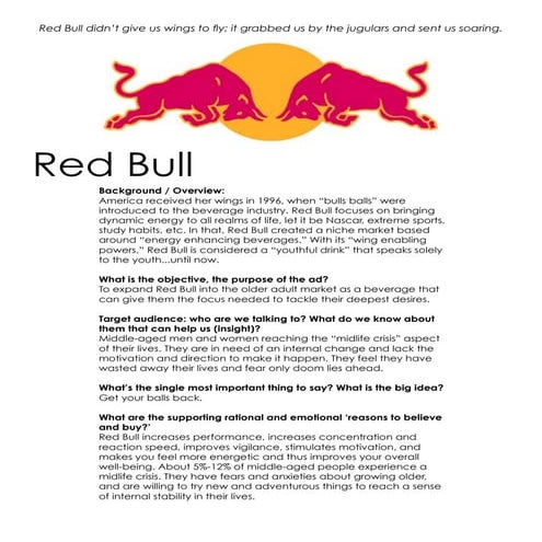 Red Bull Creative Brief