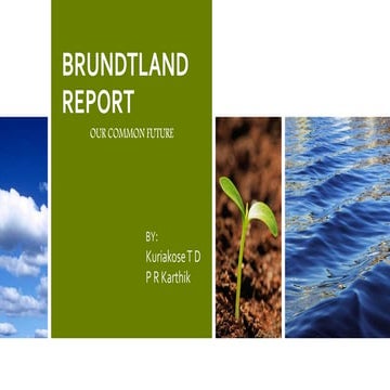 Brundtland report
