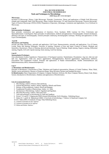 Bsc ii iv-vi sem imb