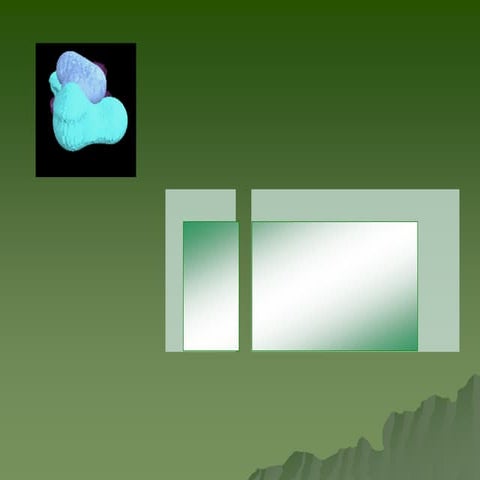 0000000000000000000011111111La celula.pdf