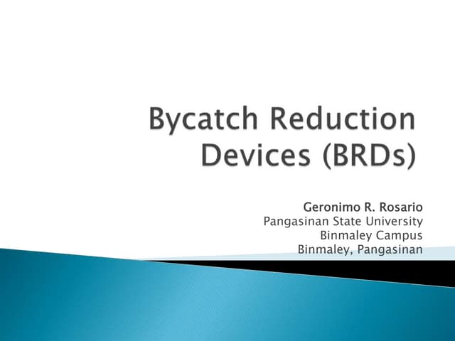 Bycatch Reduction Devices