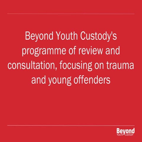 Beyond Youth Custody's trauma review and consultation - Mark Liddle