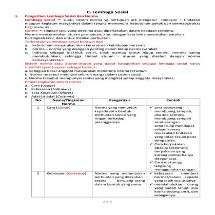 C. lembaga sosial