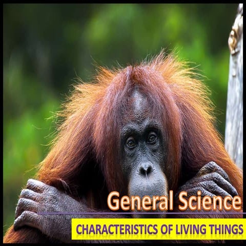 Characteristics of living things