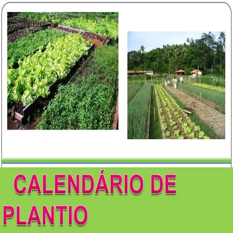 CalendáRio De Plantio