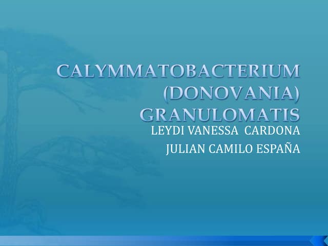 Calymmatobacterium (donovania) granulomatis