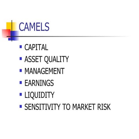 Camels rating