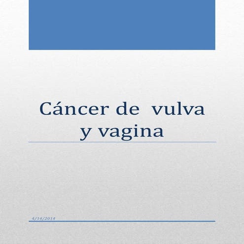 Cancer de vagina y vulva