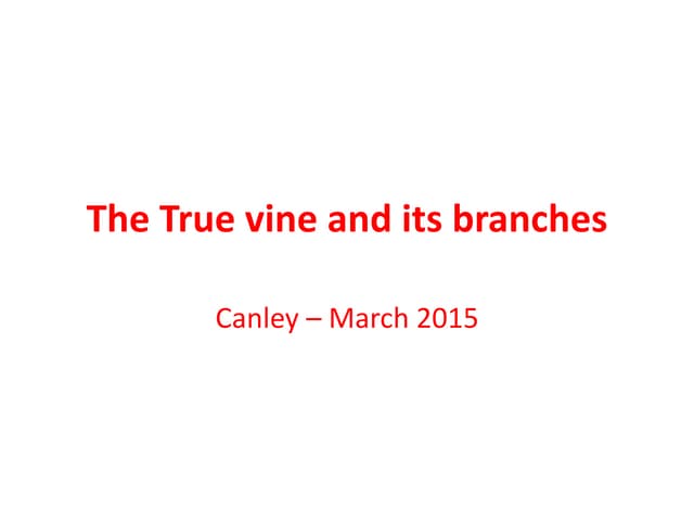 The True Vine & its Branches