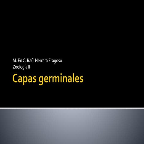 Capas germinales