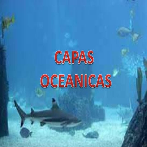 Capas oceanicas