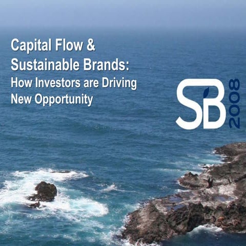 Capital Flows and Socially Responsible Investing in Sustainable Brands