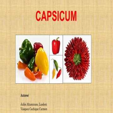 CAPSICUM Productos de Agroexportación