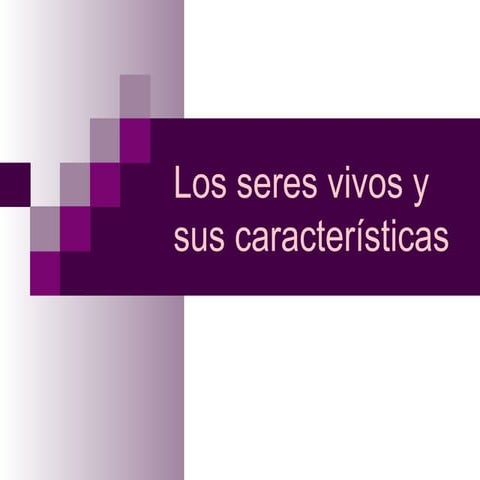 Caracteristicas de los seres vivos 