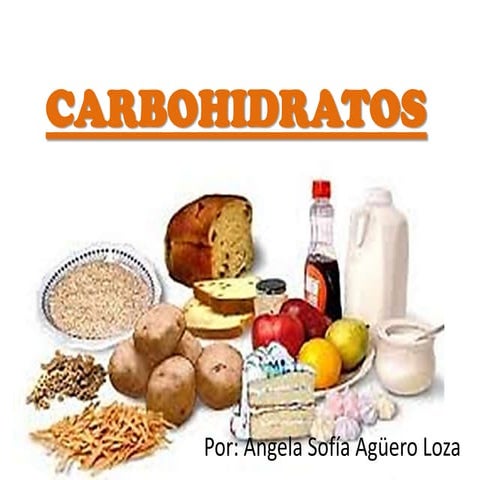 Carbohidratos - Funsiones