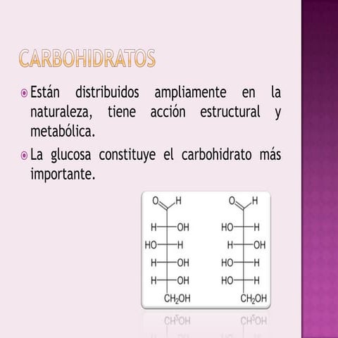 Carbohidratos estructura (2)