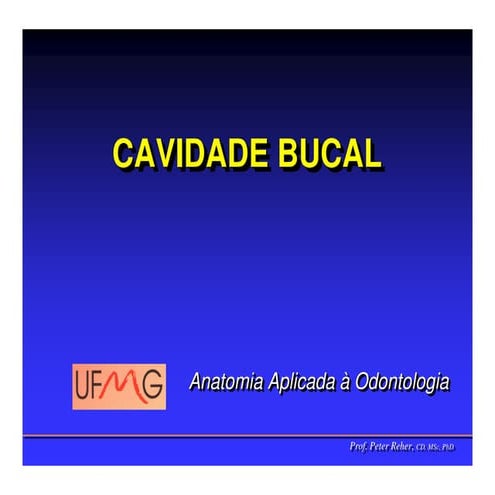Cavidadebucal
