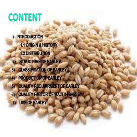 Barley Processing Technology