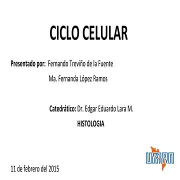 Ciclo Celular