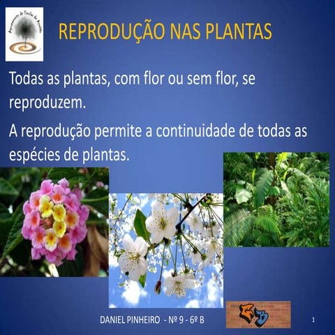 Reprodução nas plantas