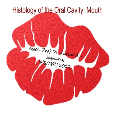 Histology Of The Oral Cavity