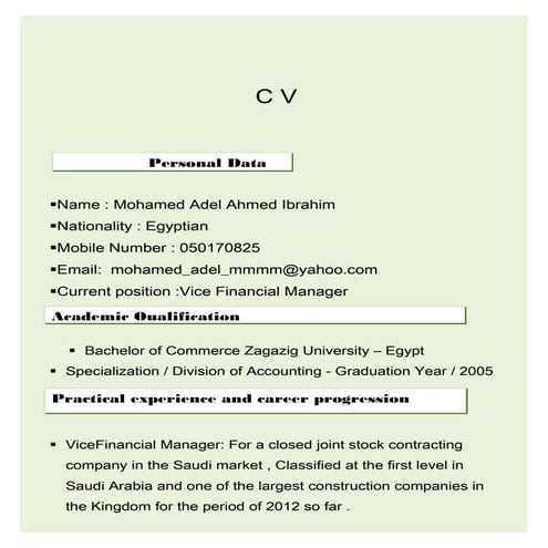 Mohamed Adel CV