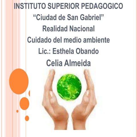 Celia almeida realidad