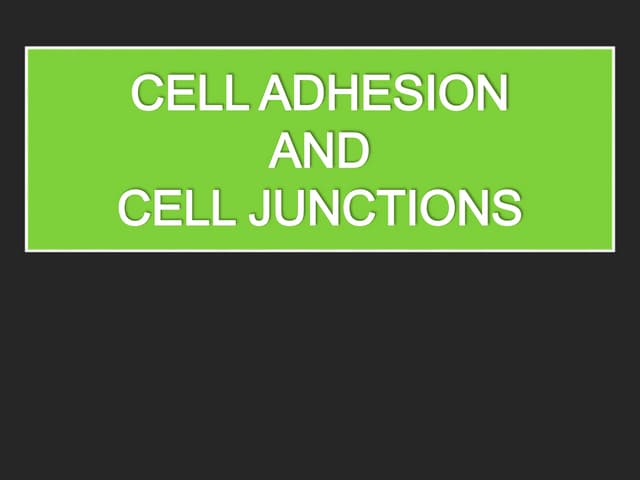 CELL ADHESIONS BSc Botany Education #bsc #botany #cell