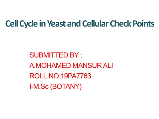 Cell cycle and check points