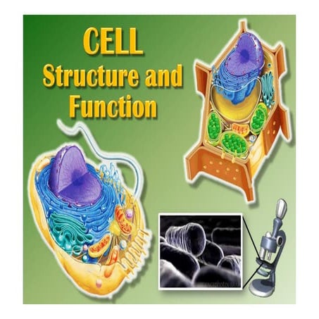 Cell history and structure