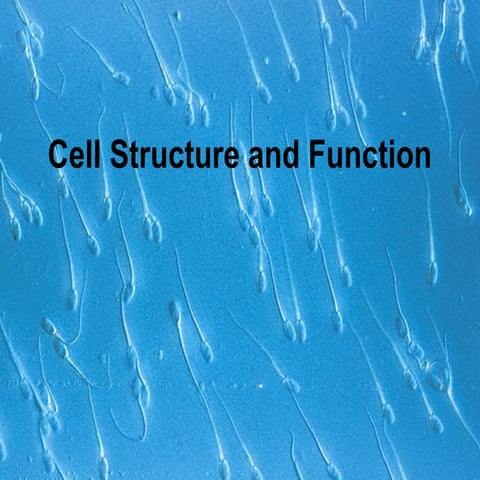 Cell Structure and Function. Anatomy and Physiology