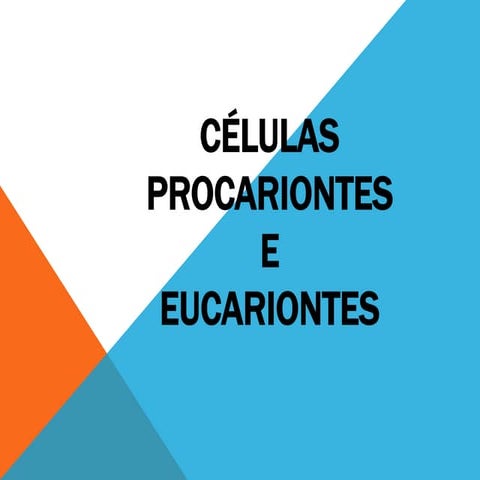 Celular prcariontes e eucariontes