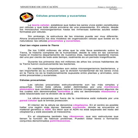 Células procariotas eucariotas