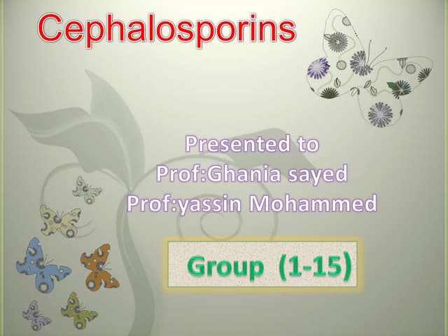 Cephalosporins antibiotics