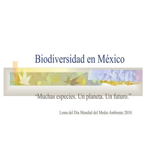 Ensayo Biodiversidad