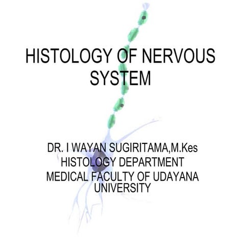 histologic structure of nervous system